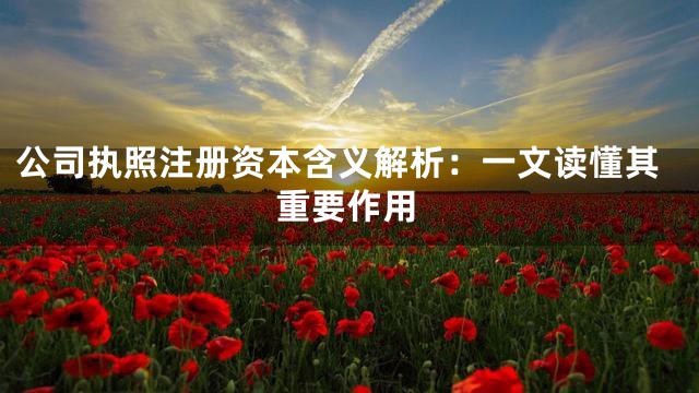 公司执照注册资本含义解析：一文读懂其重要作用