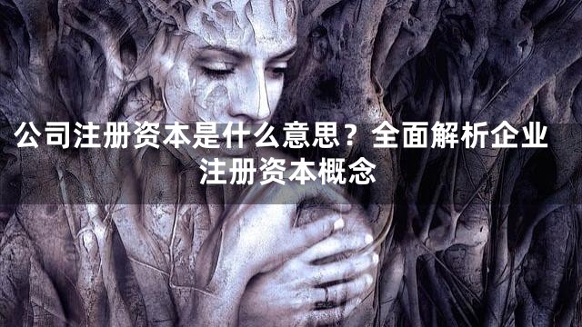 公司注册资本是什么意思？全面解析企业注册资本概念
