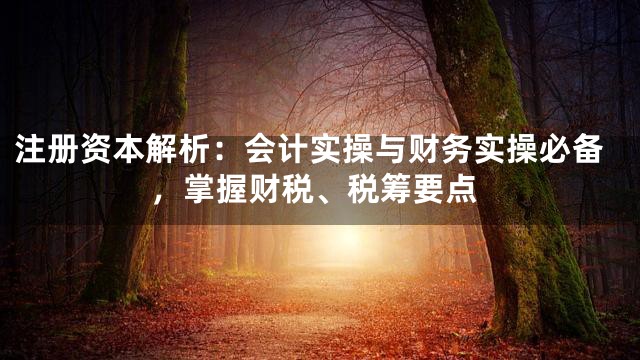注册资本解析：会计实操与财务实操必备，掌握财税、税筹要点