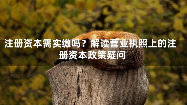 注册资本需实缴吗？解读营业执照上的注册资本政策疑问