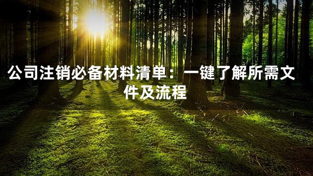 公司注销必备材料清单：一键了解所需文件及流程