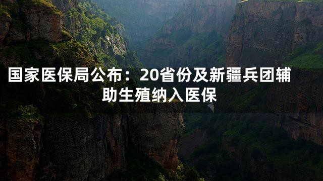 国家医保局公布：20省份及新疆兵团辅助生殖纳入医保