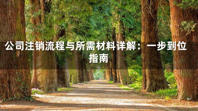 公司注销流程与所需材料详解：一步到位指南