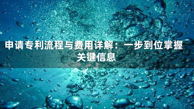 申请专利流程与费用详解：一步到位掌握关键信息
