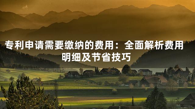专利申请需要缴纳的费用：全面解析费用明细及节省技巧