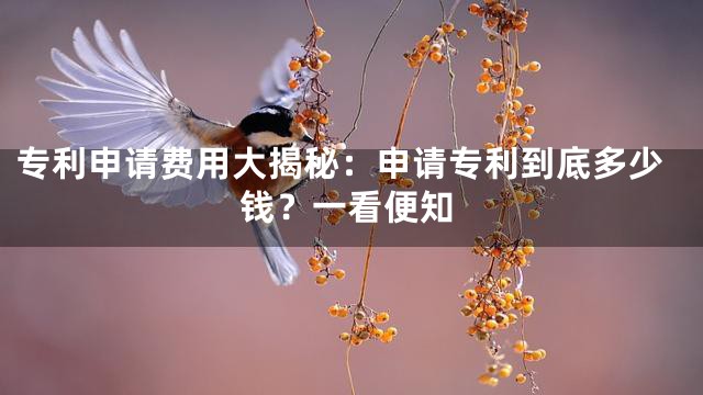 专利申请费用大揭秘：申请专利到底多少钱？一看便知