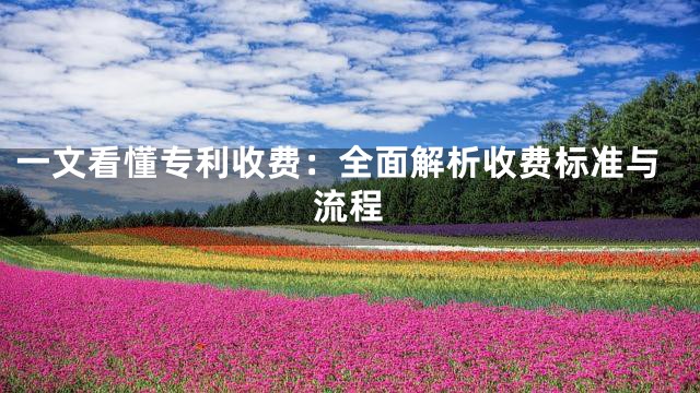 一文看懂专利收费：全面解析收费标准与流程