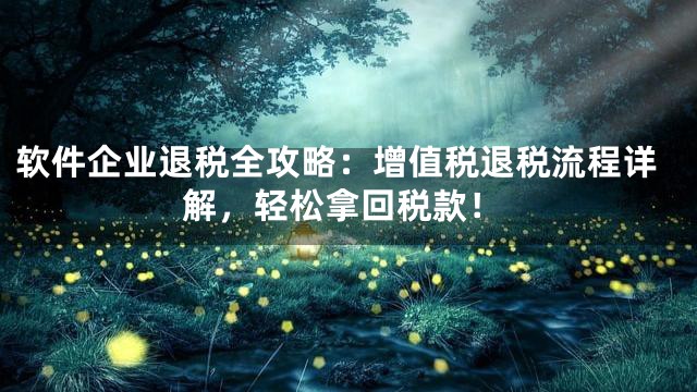 软件企业退税全攻略：增值税退税流程详解，轻松拿回税款！