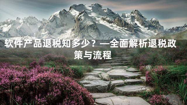 软件产品退税知多少？—全面解析退税政策与流程