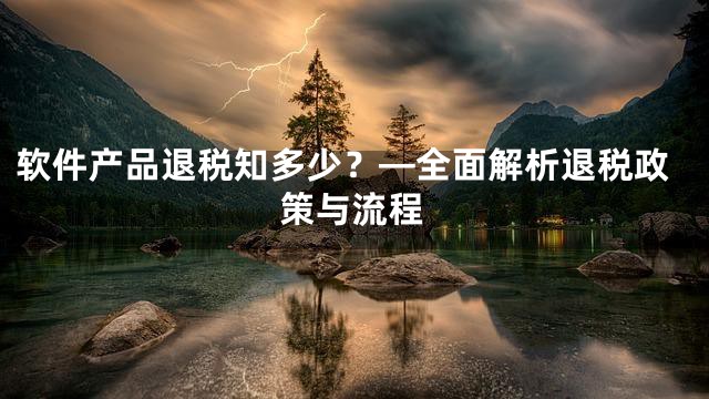 软件产品退税知多少？—全面解析退税政策与流程