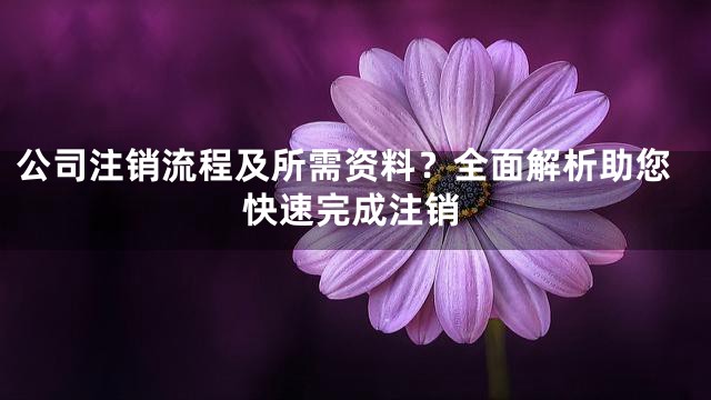 公司注销流程及所需资料？全面解析助您快速完成注销