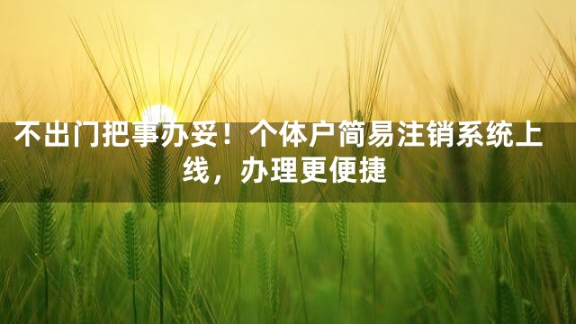 不出门把事办妥！个体户简易注销系统上线，办理更便捷