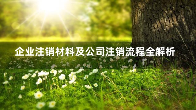 企业注销材料及公司注销流程全解析