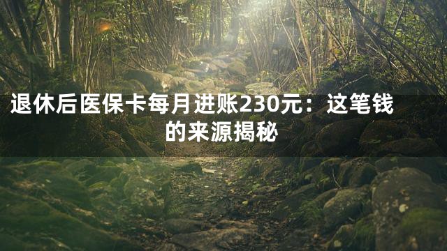 退休后医保卡每月进账230元：这笔钱的来源揭秘