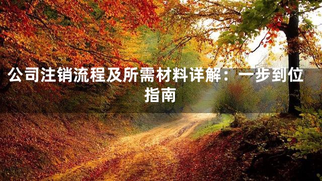 公司注销流程及所需材料详解：一步到位指南