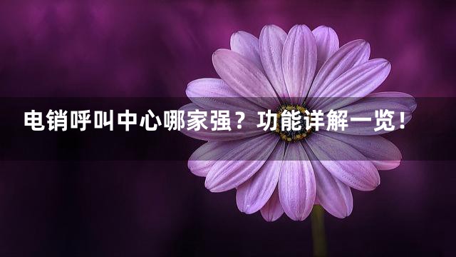 电销呼叫中心哪家强？功能详解一览！