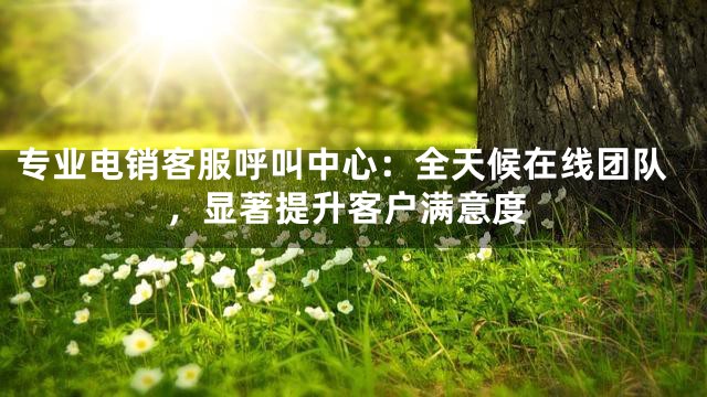 专业电销客服呼叫中心：全天候在线团队，显著提升客户满意度