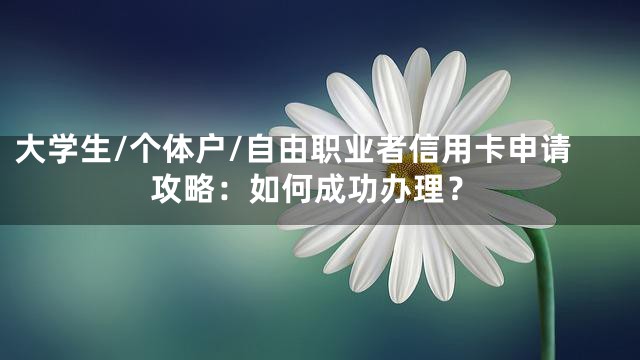 大学生/个体户/自由职业者信用卡申请攻略：如何成功办理？