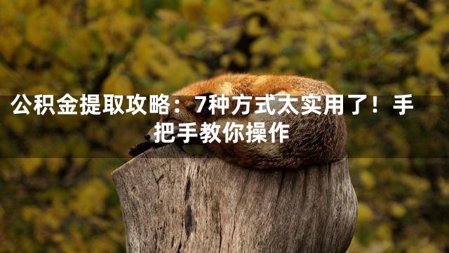 公积金提取攻略：7种方式太实用了！手把手教你操作
