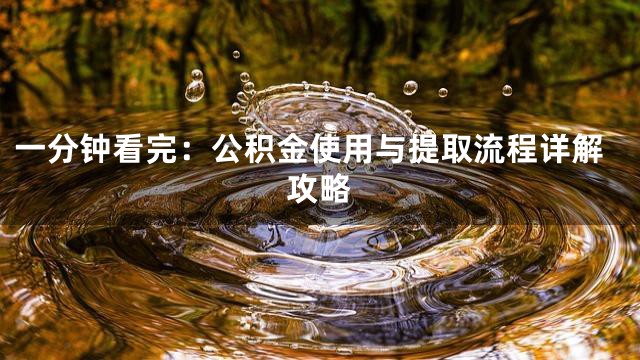 一分钟看完：公积金使用与提取流程详解攻略