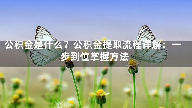 公积金是什么？公积金提取流程详解：一步到位掌握方法
