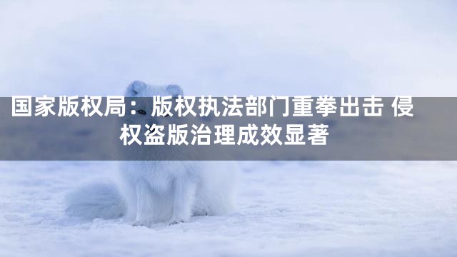 国家版权局：版权执法部门重拳出击 侵权盗版治理成效显著