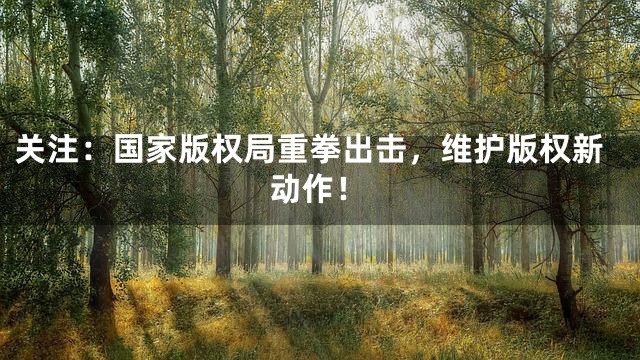 关注：国家版权局重拳出击，维护版权新动作！