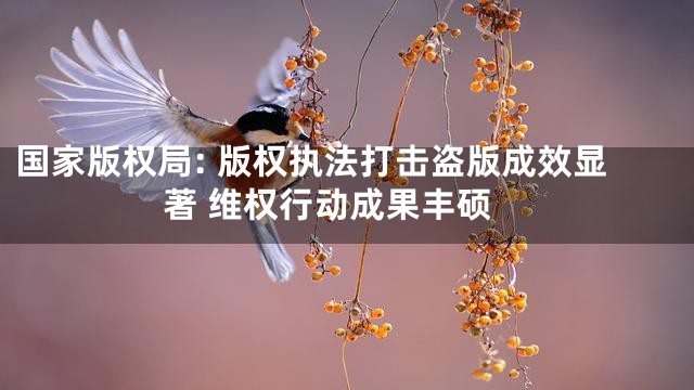 国家版权局: 版权执法打击盗版成效显著 维权行动成果丰硕