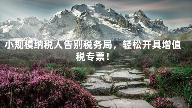 小规模纳税人告别税务局，轻松开具增值税专票！