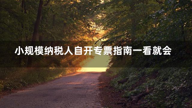 小规模纳税人自开专票指南一看就会