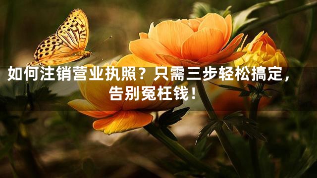 如何注销营业执照？只需三步轻松搞定，告别冤枉钱！