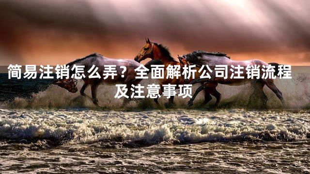 简易注销怎么弄？全面解析公司注销流程及注意事项