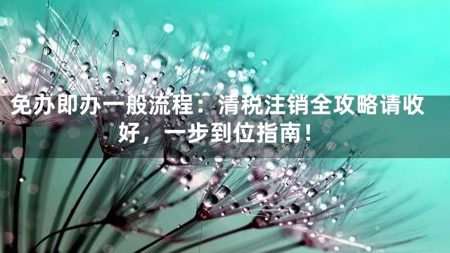 免办即办一般流程：清税注销全攻略请收好，一步到位指南！