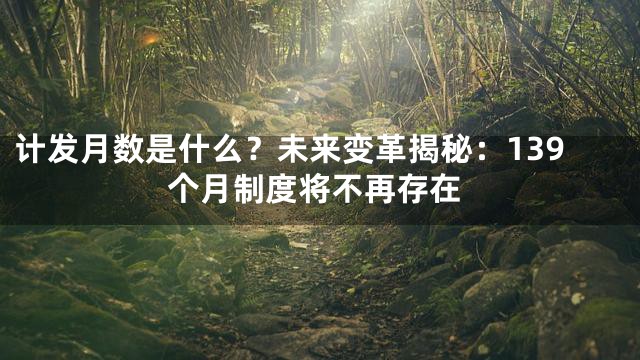 计发月数是什么？未来变革揭秘：139个月制度将不再存在