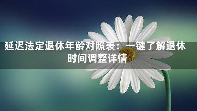 延迟法定退休年龄对照表：一键了解退休时间调整详情