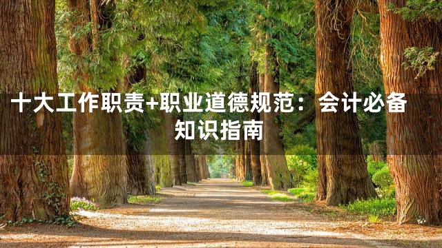 十大工作职责+职业道德规范：会计必备知识指南