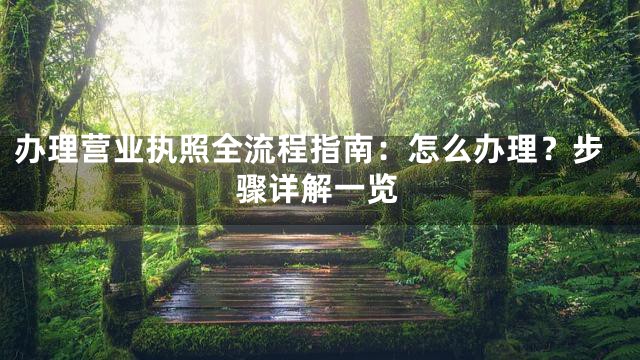 办理营业执照全流程指南：怎么办理？步骤详解一览