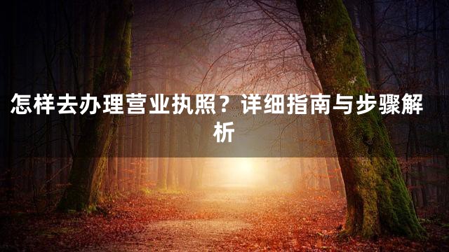 怎样去办理营业执照？详细指南与步骤解析