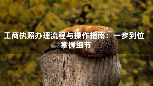 工商执照办理流程与操作指南：一步到位掌握细节