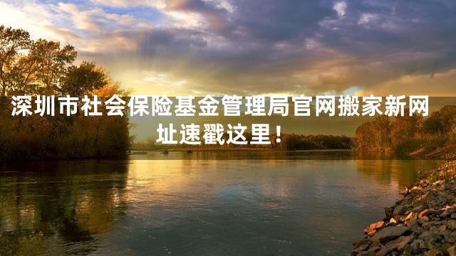 深圳市社会保险基金管理局官网搬家新网址速戳这里！