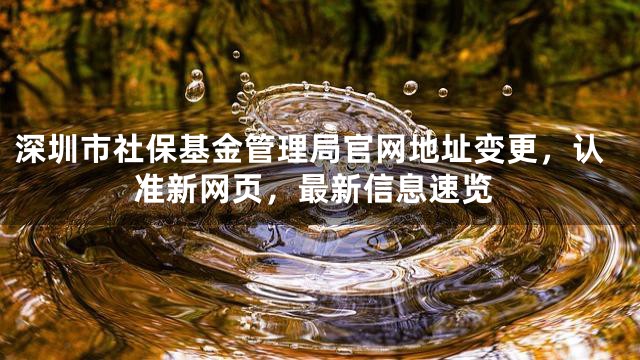 深圳市社保基金管理局官网地址变更，认准新网页，最新信息速览