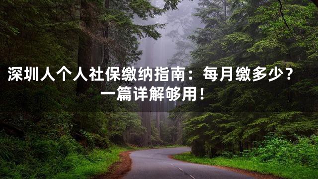 深圳人个人社保缴纳指南：每月缴多少？一篇详解够用！