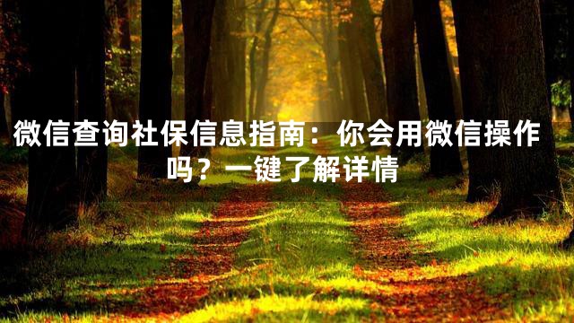 微信查询社保信息指南：你会用微信操作吗？一键了解详情