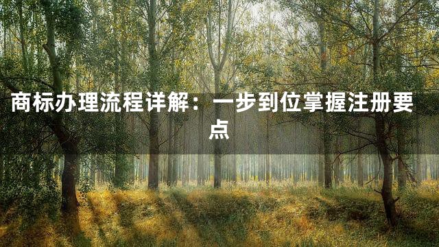 商标办理流程详解：一步到位掌握注册要点