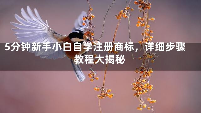 5分钟新手小白自学注册商标，详细步骤教程大揭秘