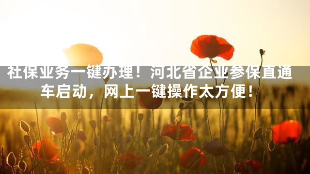 社保业务一键办理！河北省企业参保直通车启动，网上一键操作太方便！