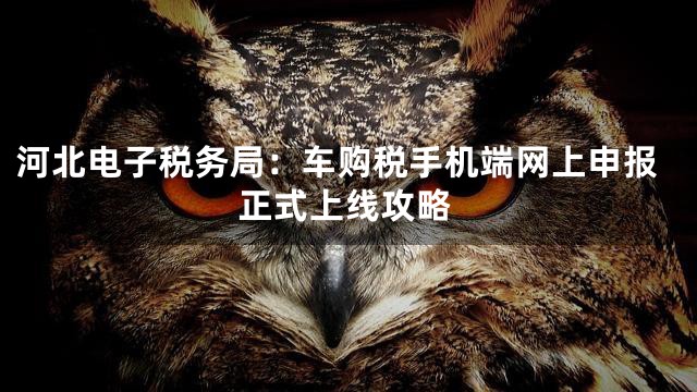 河北电子税务局：车购税手机端网上申报正式上线攻略