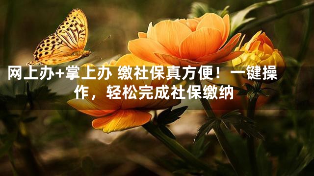 网上办+掌上办 缴社保真方便！一键操作，轻松完成社保缴纳