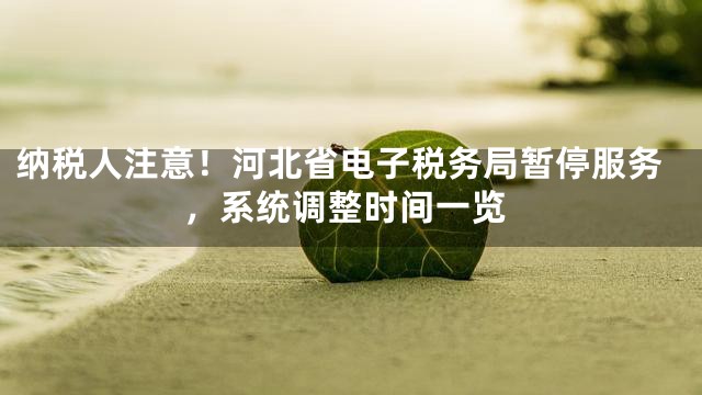 纳税人注意！河北省电子税务局暂停服务，系统调整时间一览
