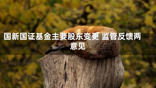 国新国证基金主要股东变更 监管反馈两意见